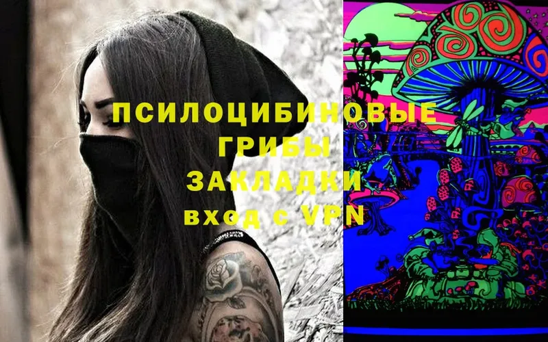 Псилоцибиновые грибы Cubensis  Ярославль 